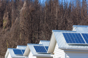 Solar FV