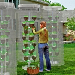vertical farming 2