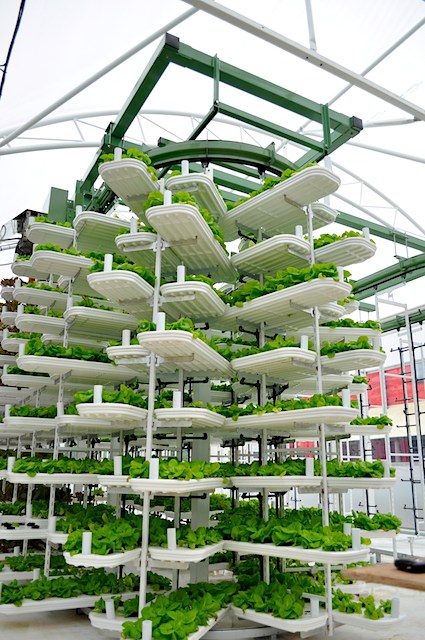 vertical farming